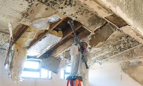 Best Residential Mold Inspection & Testing  in Suncrest, WA